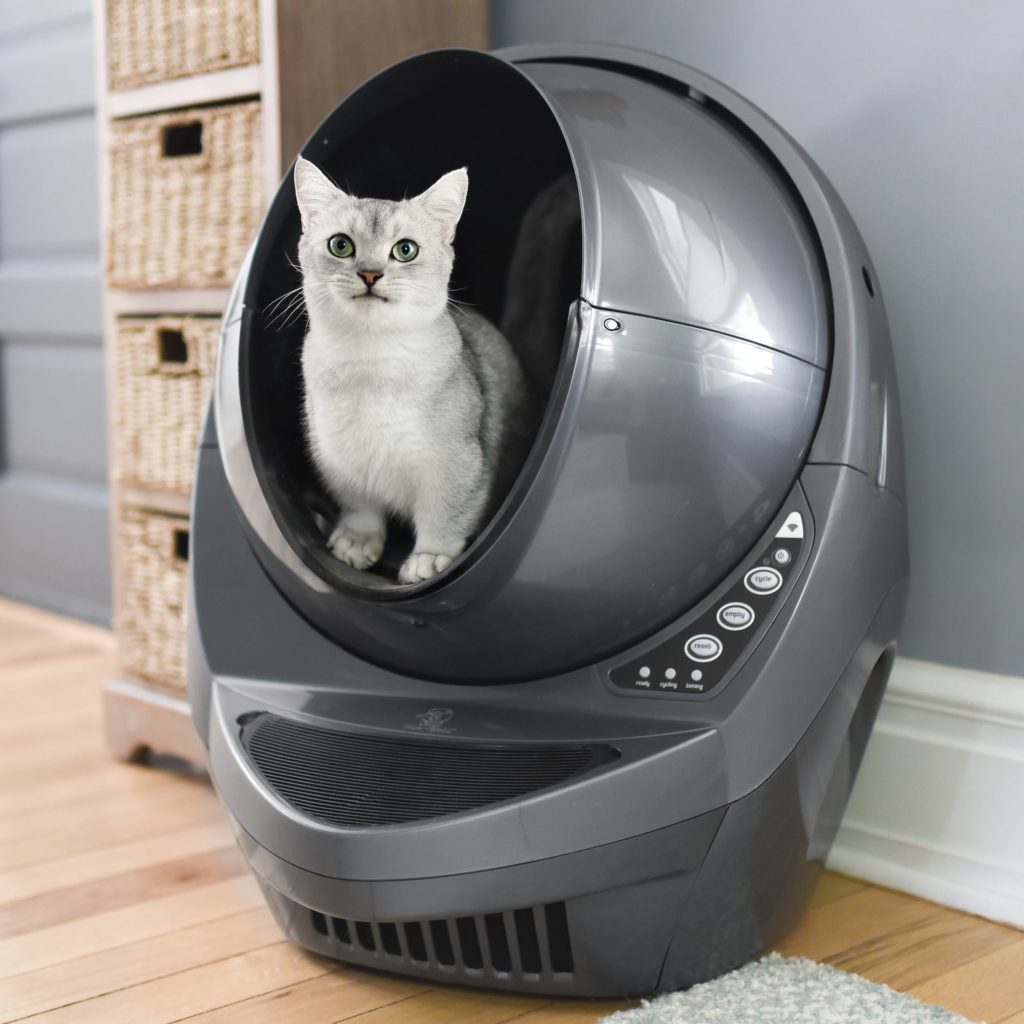 litter robot: A MUST for cat lovers - Fastidious Mom