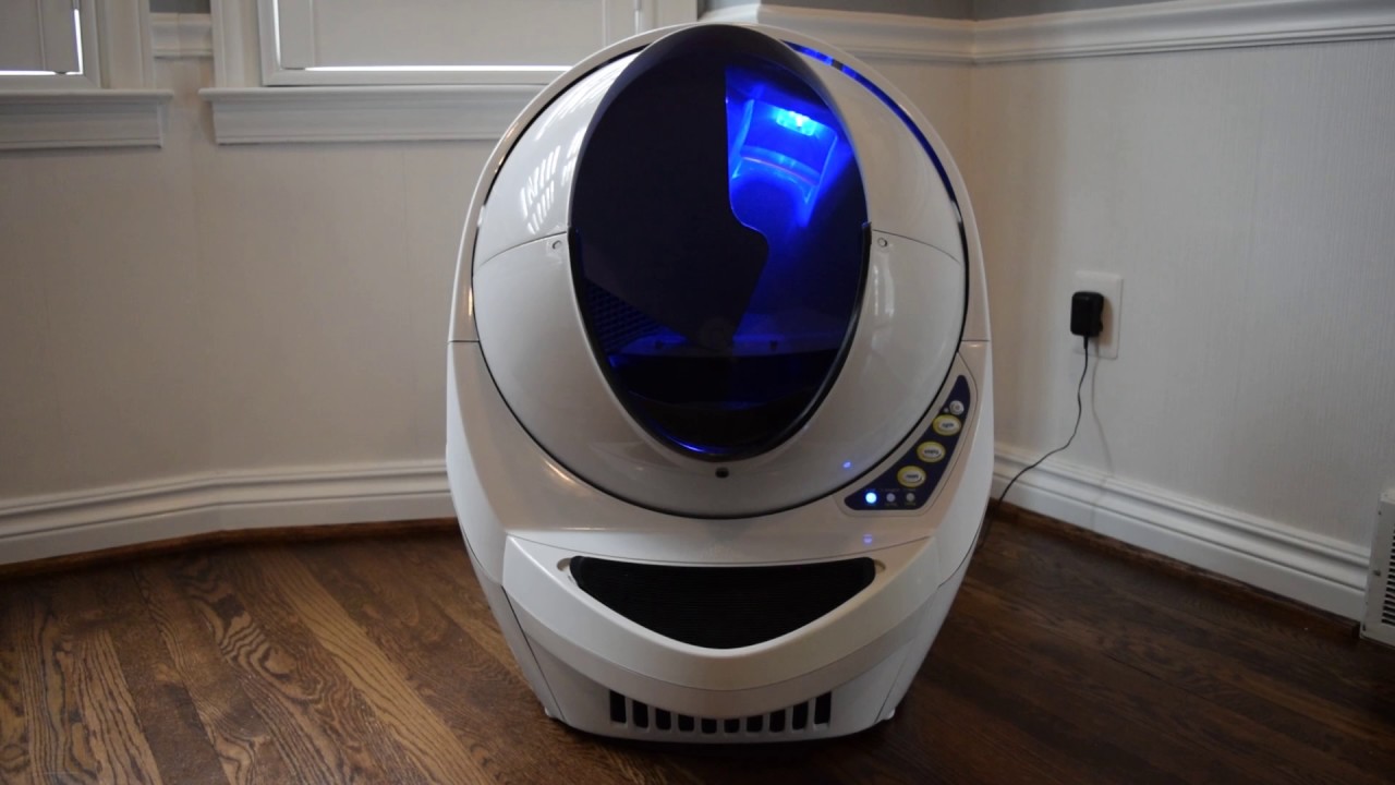 litter robot not detecting cat